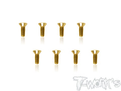 GSS-C    Gold Plated M2 Hex. Countersink Screws