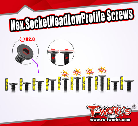 SS-LP   M3 Hex. Socket Head Low Profile Screws