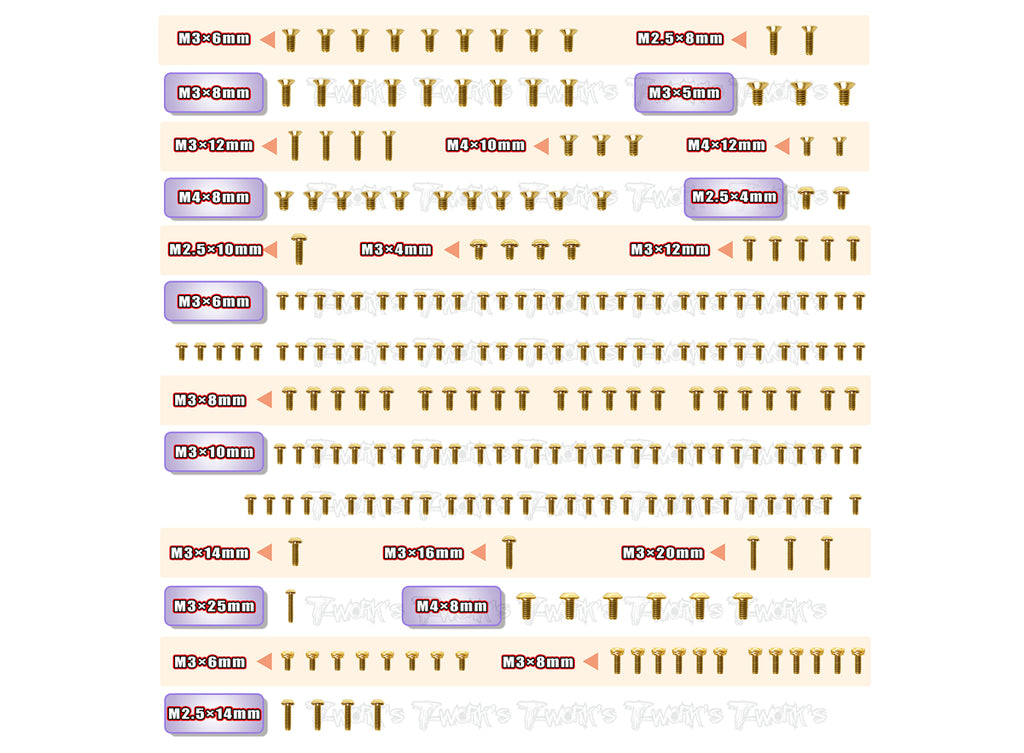 GSS-CPGT	 Gold Plated Steel Screw Set 235pcs.( For Capricorn GT  )
