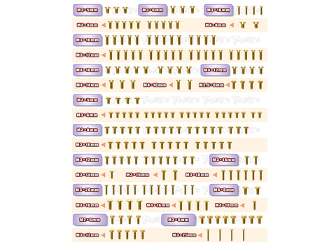 GSS-X3GTS'23	  Gold Plated Steel Screw Set 204pcs. ( For Hong Nor X3 GTS 2023 )